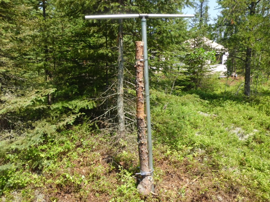 A large pipe T clamped to a treestump