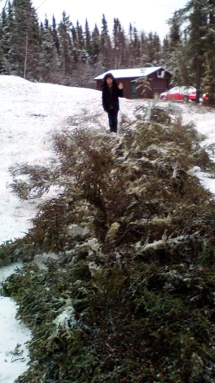Boy beside fallen tree in the snow.