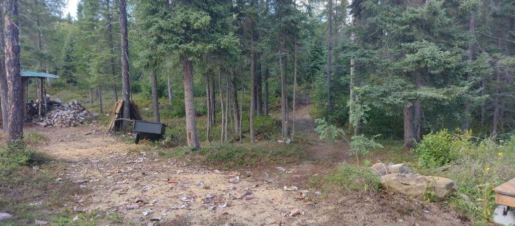 Clearing in a forest with some firewood and a small trailer.