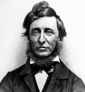 Flattering picture of Thoreau.